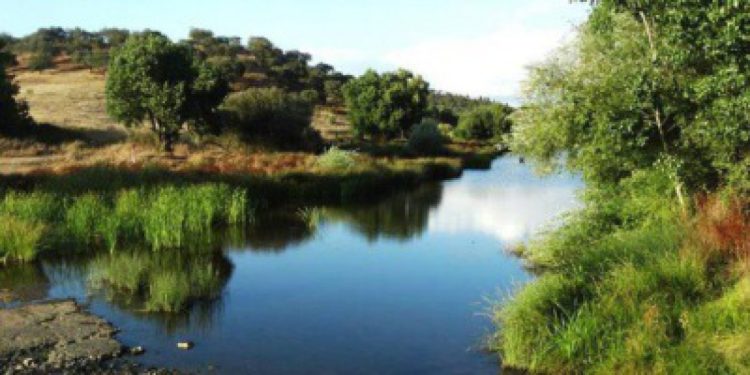 Barragem do Pisão