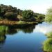 Barragem do Pisão