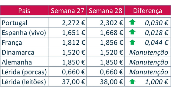 Bolsa do porco