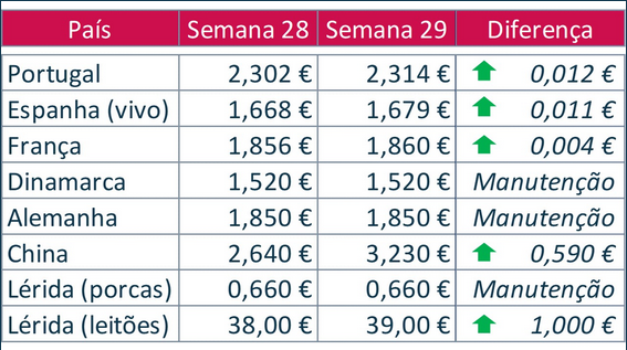 bolsa porco