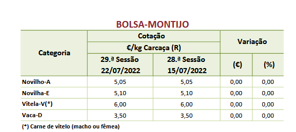 cotaçoes bovinos