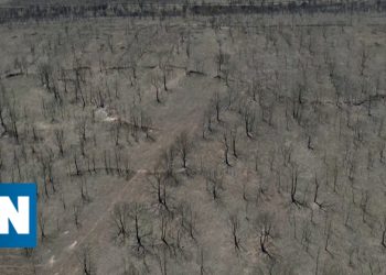 drone espanha