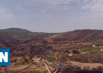 emigrantes incendios