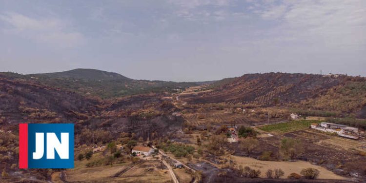 emigrantes incendios