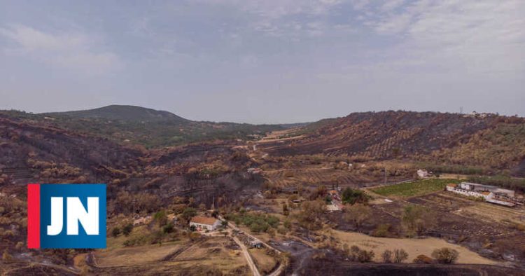 emigrantes incendios