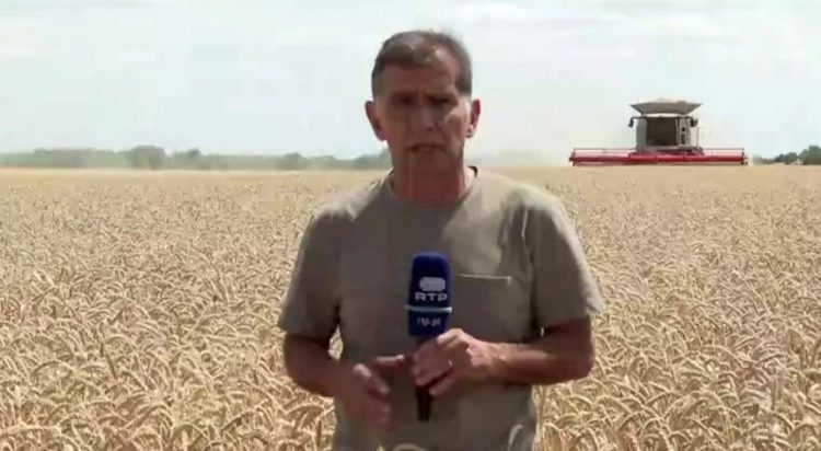 escoamento cereais