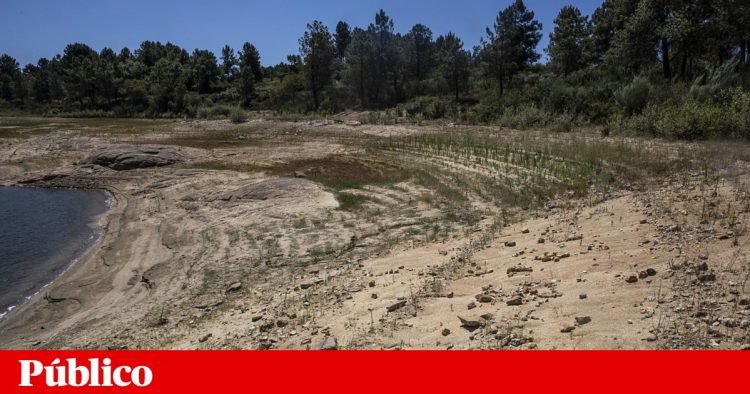 fontelonga