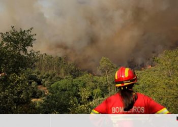 governo incendios