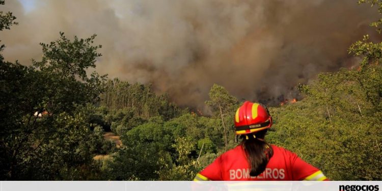 governo incendios