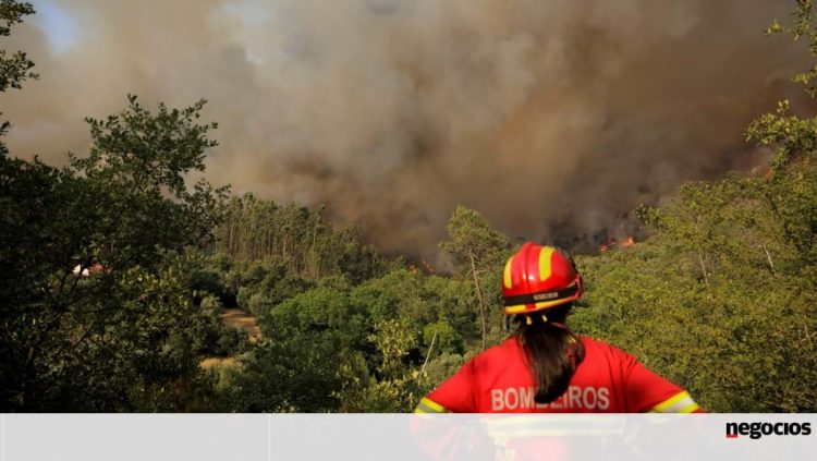 governo incendios