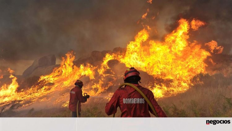 incendios area