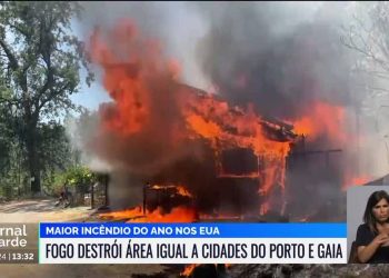 Incêndios florestais flagelam o mundo