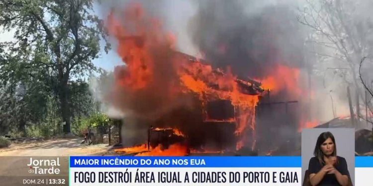 Incêndios florestais flagelam o mundo