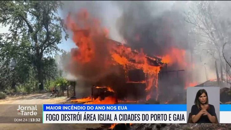 Incêndios florestais flagelam o mundo