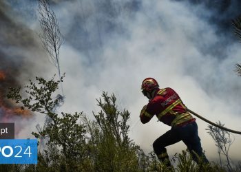 bombeiros