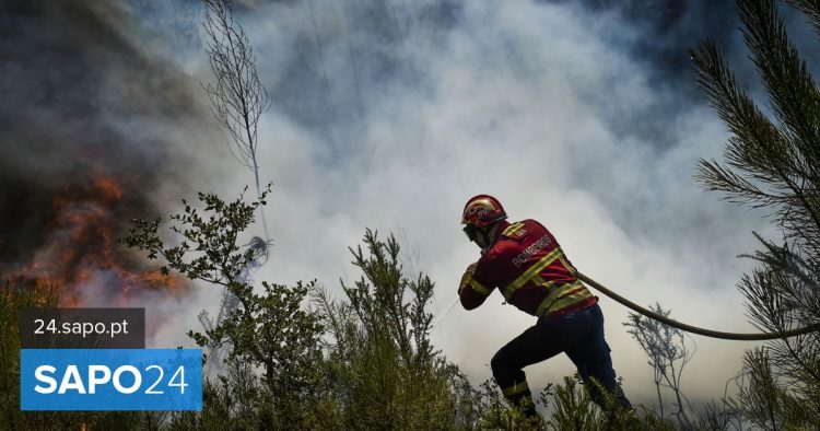 bombeiros