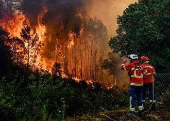 incendio bombeiro