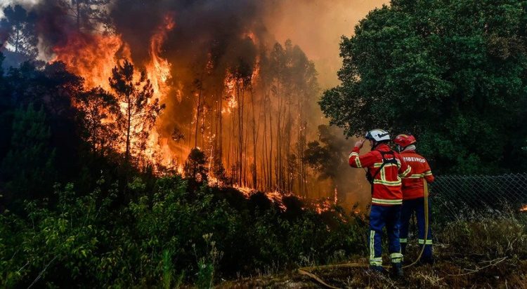 incendio bombeiro