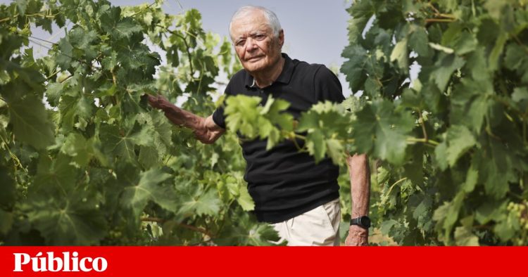 José Roquette
