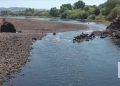 tejo