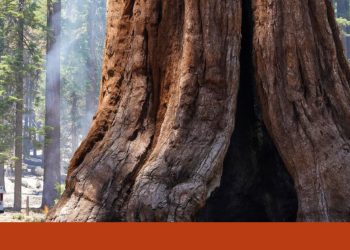 Parque Nacional de Yosemite