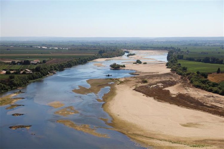 tejo