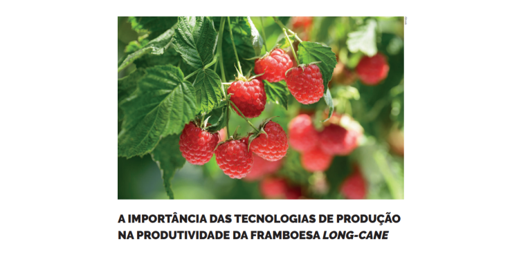 Tecnologias de Produção framboesa