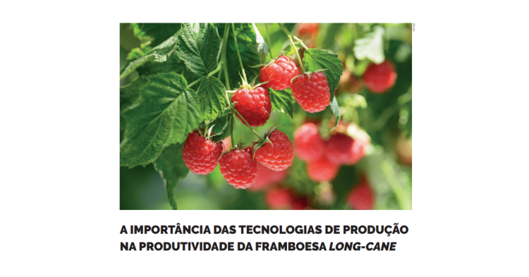 Tecnologias de Produção framboesa