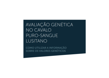 genética cavalo lusitano