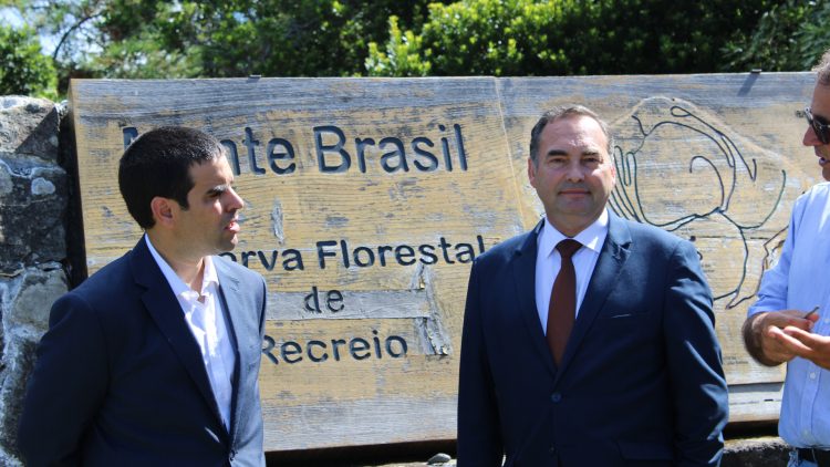 Reservas Florestais dos Açores