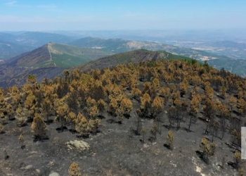 Área ardida em Portugal