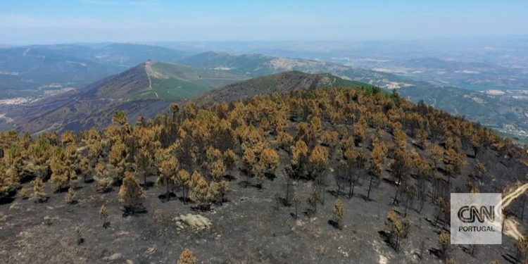 Área ardida em Portugal