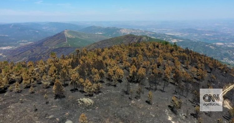 Área ardida em Portugal
