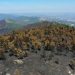 Área ardida em Portugal