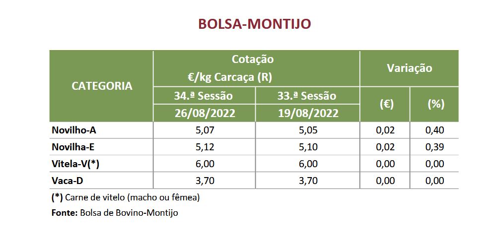 Cotações Bovinos