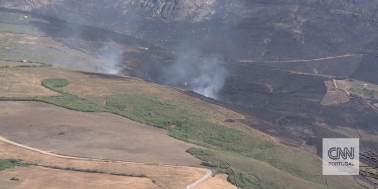 incendio serra da estrela