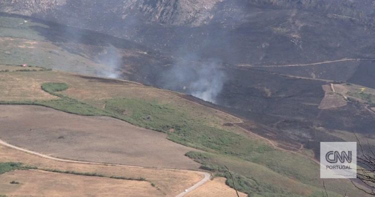 incendio serra da estrela