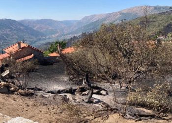investigar incendios