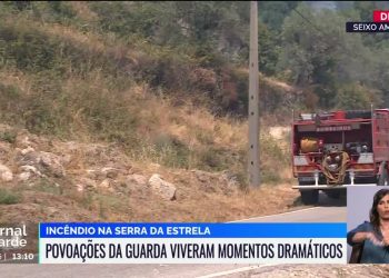 fogo seixo amarelo