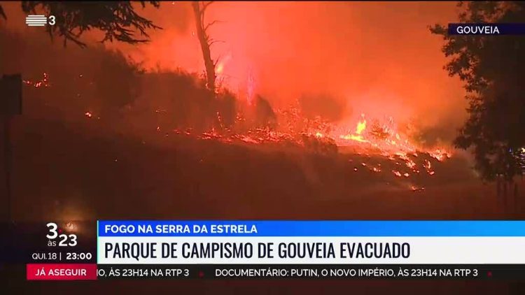 Fogo em gouveia