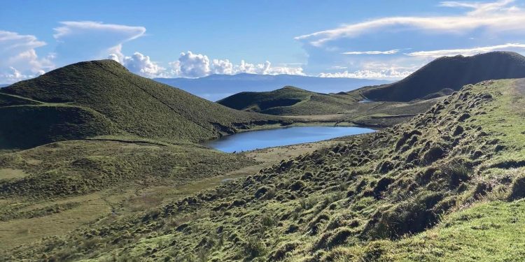 Açores explorações agrícolas