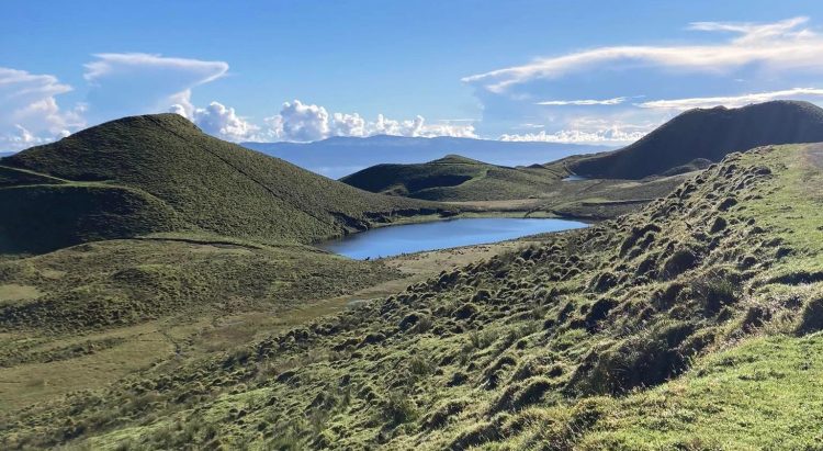 Açores explorações agrícolas
