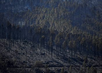 calamidade serra da estrela