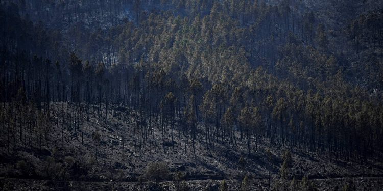 calamidade serra da estrela