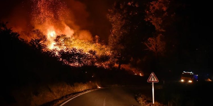 incendio serra da estrela