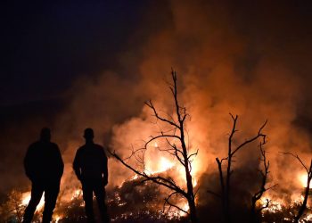 Incêndio da Serra da Estrela