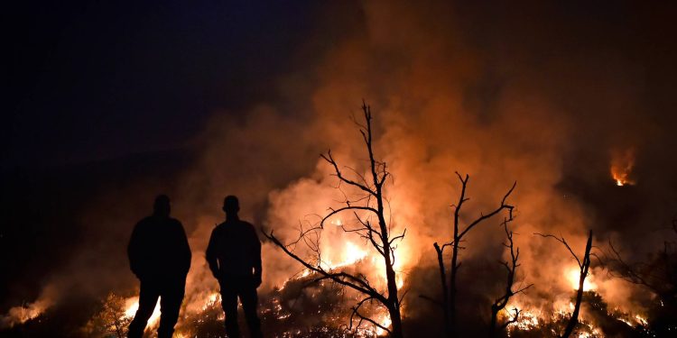 Incêndio da Serra da Estrela