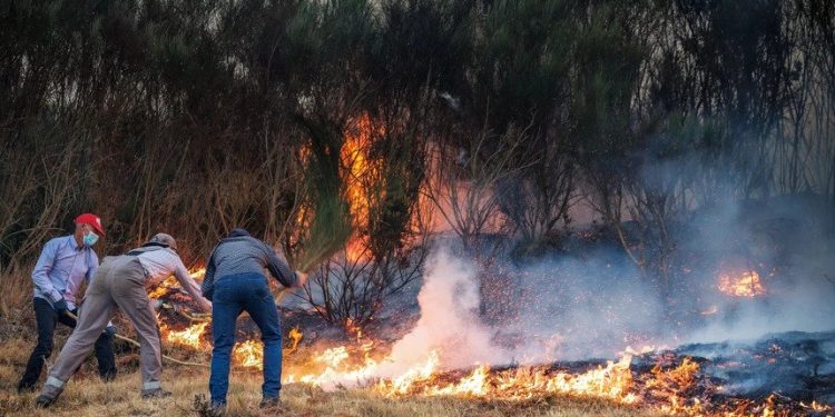 Incêndio em Vila Real