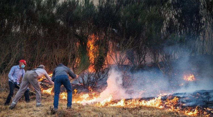 Incêndio em Vila Real