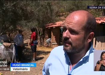 incendio serra da estrela